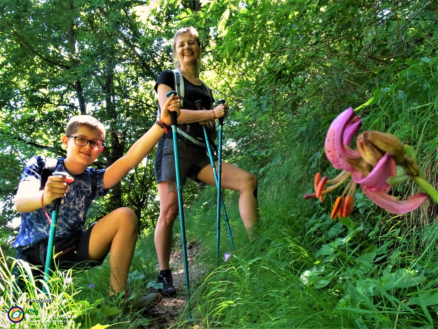 53 Sul sent. 519 Lilium martagon (Gliglio martagone).JPG